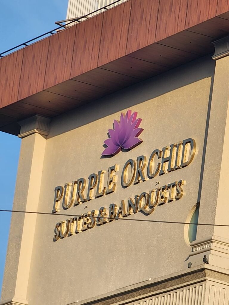 IMG 1856 JPG 768x1024